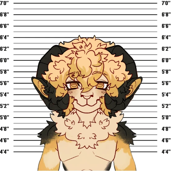 Portrait of llama_knight: a cartoon ram with curly blond wool and dark curled horns, posed in front of a mugshot height chart.